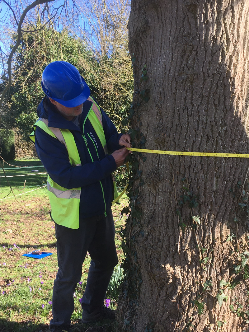 Stage 1 - Tree survey and Tree Constraints plan