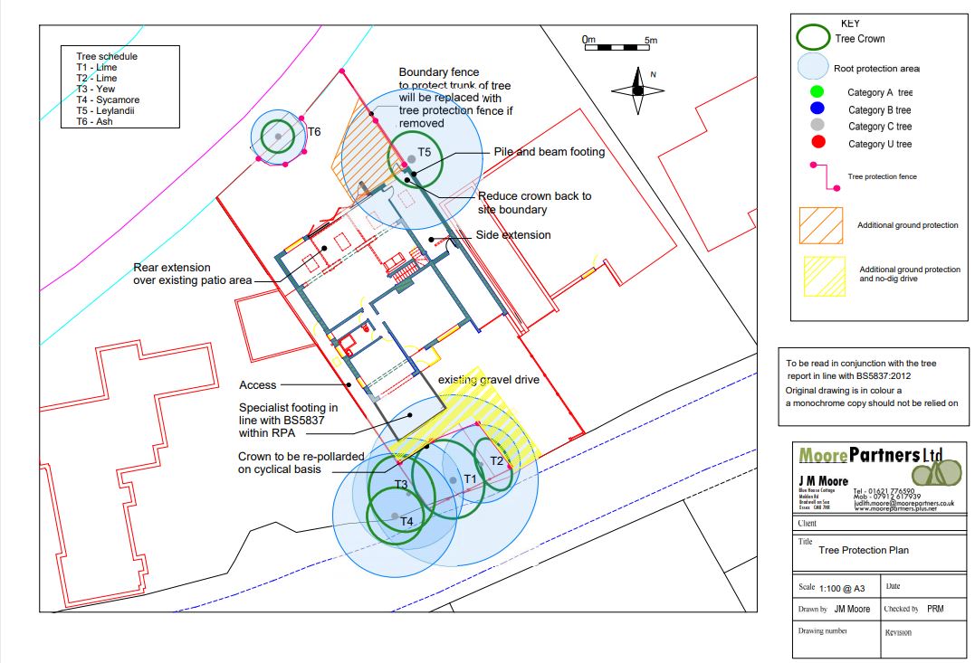 BS5837 Trees and Development